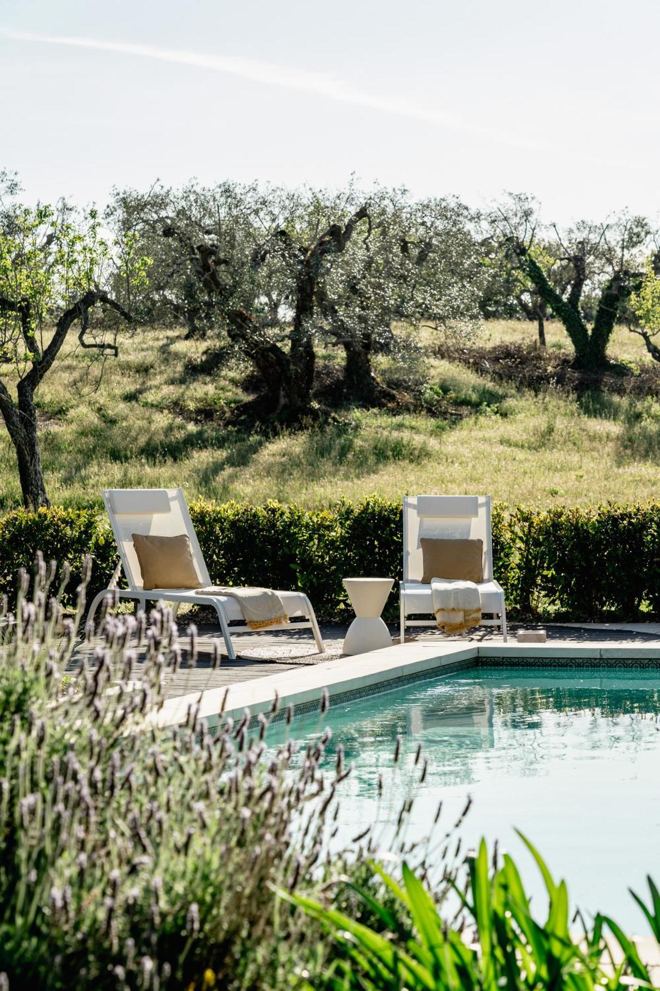 Trullo Zaira Villa Alberobello Eksteriør bilde